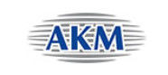 Układ scalony pamięci AK6508DTS